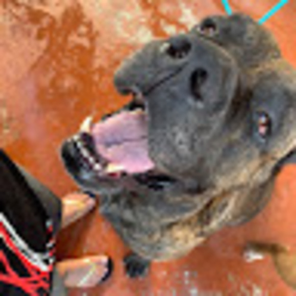 Meet your Posher, Maria - Picture 1 of 1